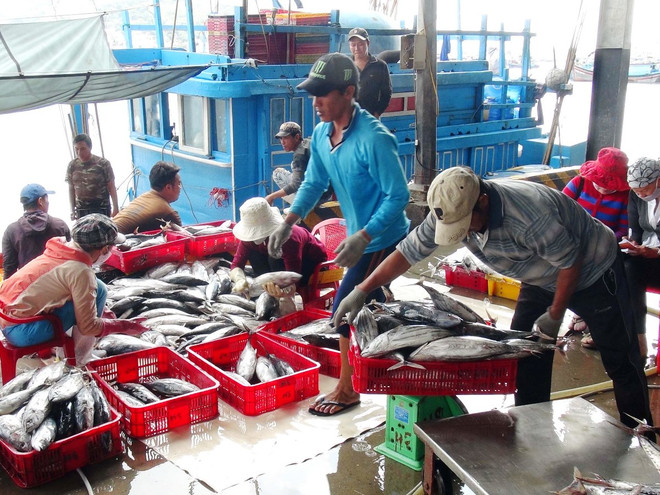 Đề nghị xây dựng bản đồ vùng biển cấm khai thác cá tầng đáy tại 4 tỉnh ảnh 1