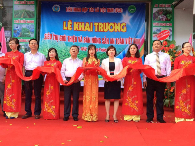 Khai trương siêu thị tiêu thụ nông sản an toàn đầu tiên ở Hà Nội ảnh 1