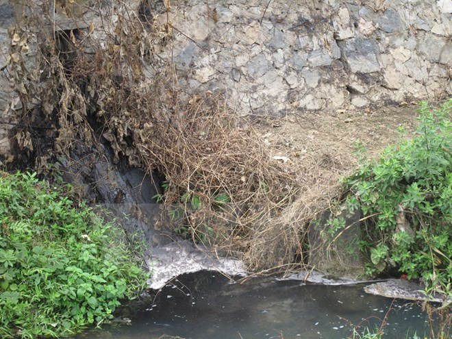 450 triệu USD cải thiện điều kiện sống tại Thành phố Hồ Chí Minh ảnh 1