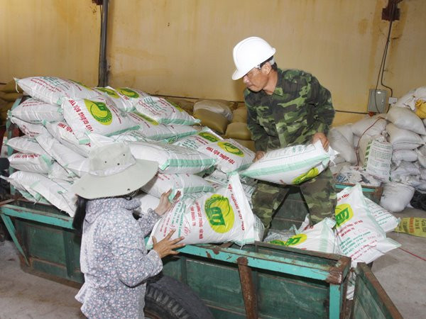 Xuất dự trữ quốc gia hơn 1.600 tấn hạt giống cây trồng năm 2015 ảnh 1