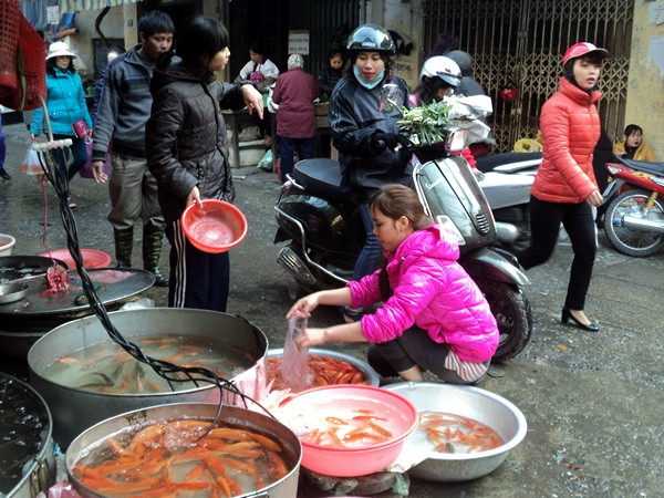 Cá chép vàng “đắt khách” trong dịp Tết ông Công, ông Táo ảnh 1