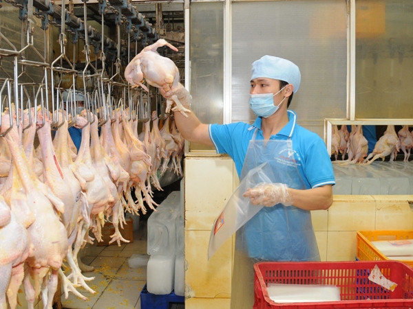 Ban hành kế hoạch hành động năm vệ sinh an toàn thực phẩm ảnh 1