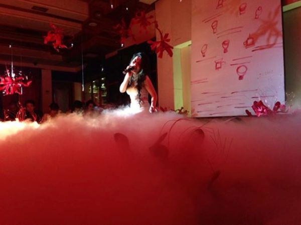 Ca sĩ Phạm Hà Linh: “Đời gọi tên em là… Điên” ảnh 2