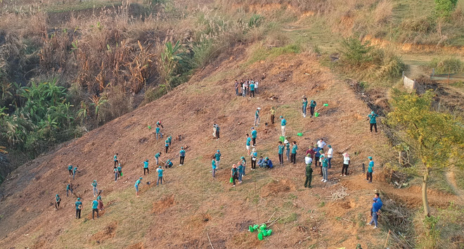 trồng cây Xanh.jpg