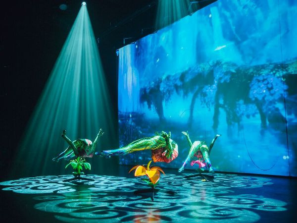 Trải nghiệm cùng “Ionah”: Xem xiếc nhưng không phải là xiếc? ảnh 3