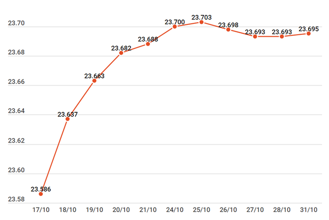 Tỷ giá giữa muôn trùng vây, doanh nghiệp làm gì để ngừa rủi ro? ảnh 2