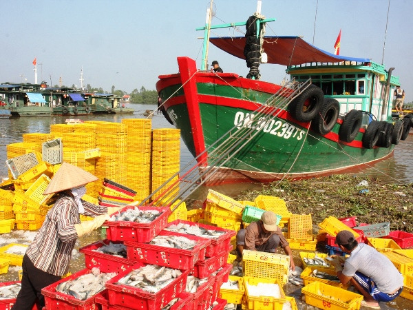 Xuất khẩu cao su và gạo sụt giảm đáng kể trong 6 tháng đầu năm ảnh 1