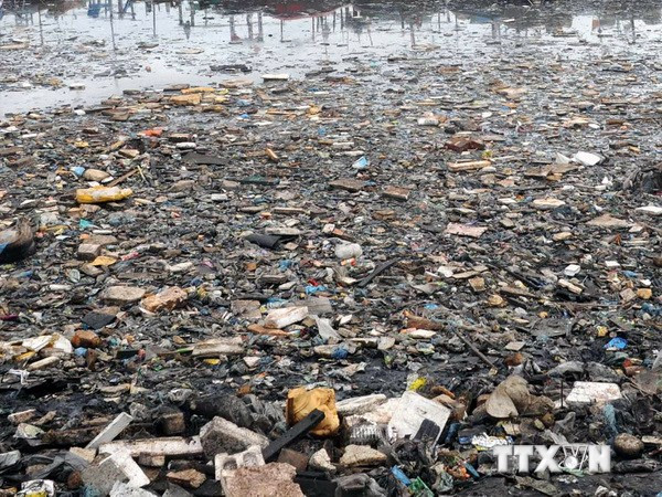 [Video] 1,5 triệu động vật trên đại dương chết vì rác nhựa mỗi năm ảnh 1