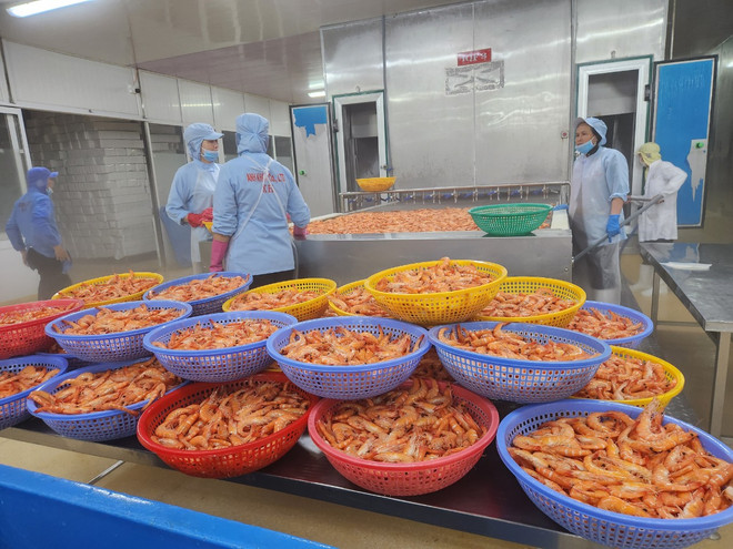 Nhiều doanh nghiệp đã tiếp cận được nguồn vốn rẻ từ ngân hàng. (Ảnh: PV/Vietnam+) Lãi suất cho vay “dễ thở,” doanh nghiệp đã tiếp cận được nguồn vốn rẻ ảnh 2