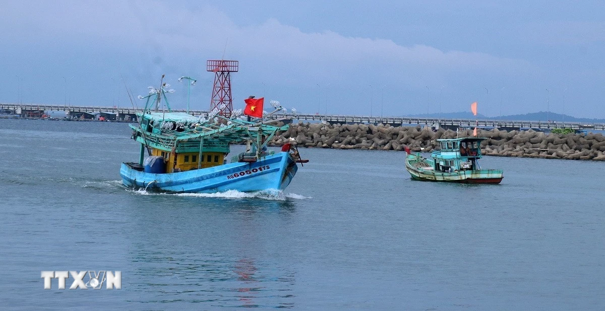 Khắc Phục Thẻ Vàng IUU: An Giang Thiết Lập Lộ Trình Nghiêm Ngặt