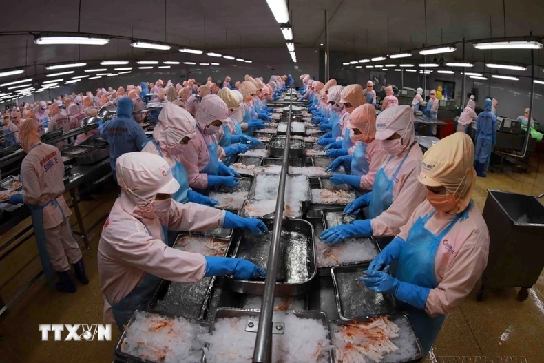 Triển vọng thương mại thủy sản Việt Nam-Singapore tiếp tục được khẳng định. (Ảnh: Vũ Sinh/TTXVN)