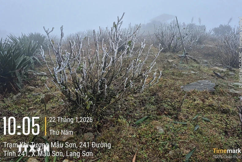 Tại Mẫu Sơn nhiệt độ thấp nhất là 2-4 độ. (Ảnh: TTXVN phát)