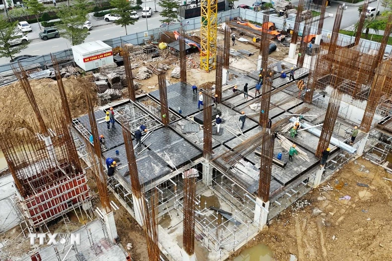 Ảnh minh họa. (Ảnh: Hữu Quyết/TTXVN)