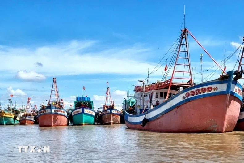 Các tàu cá neo đậu tại cửa biển Gành Hào, huyện Đông Hải, tỉnh Bạc Liêu. (Ảnh: TTXVN phát)