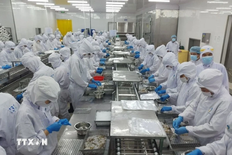 Thủy hải sản là một trong những mặt hàng Việt Nam xuất khẩu sang Belarus. (Ảnh: TTXVN phát)