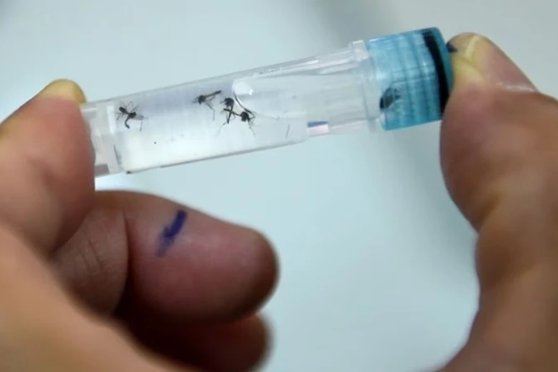 Ảnh minh họa. (Nguồn: AFP)