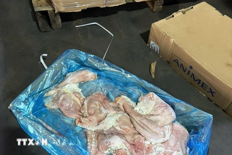 Thực phẩm không rõ nguồn gốc bị Công an phát hiện. (Ảnh: TTXVN phát)