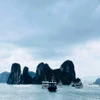 Tàu du lịch trên vịnh Hạ Long. (Ảnh: Vietnam+)