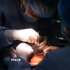 Một ca phẫu thuật ghép gan. (Ảnh: Minh Quyết/TTXVN)