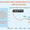 OECD dự báo tăng trưởng kinh tế toàn cầu ở mức 2,9% trong năm 2025 và 2026 
