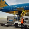 Những lô hàng vải thiều Hải Dương đầu tiên đã được hãng hàng không Vietnam Airlines chuyên chở đã hạ cánh tại sân bay quốc tế Charles de Gaulle của thủ đô Paris. (Ảnh: Nguyễn Thu Hà/TTXVN)