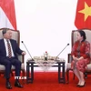 Tổng Bí thư Tô Lâm gặp Chủ tịch Hạ viện Indonesia Puan Maharani. (Ảnh: Thống Nhất/TTXVN)