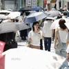 Người dân di chuyển dưới trời nắng gắt tại Ginza, Nhật Bản. (Ảnh: Kyodo/TTXVN)