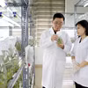 Công ty cổ phần Tập đoàn Thai Binh Seed là một trong những doanh nghiệp hàng đầu về giống cây trồng tại Việt Nam với việc sở hữu bản quyền 30 giống cây trồng; 3 nhà máy đạt tiêu chuẩn quốc tế. (Ảnh: Thế Duyệt/TTXVN)