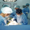 Các bác sỹ Bệnh viện Thống Nhất Thành phố Hồ Chí Minh thực hiện ghép thận cho bệnh nhân từ nguồn thận hiến của người chết não. (Ảnh: TTXVN phát)