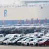 Ôtô chờ xuất khẩu tại cảng ở Pyeongtaek, phía nam thủ đô Seoul, Hàn Quốc. (Ảnh: Yonhap/TTXVN)
