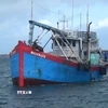 Cảnh sát biển bắt giữ tàu cá vận chuyển khoảng 30.000 lít dầu