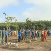 Phát động trồng cây xanh. (Ảnh: K GỬIH/TTXVN)