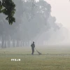 Ô nhiễm không khí nghiêm trọng tại New Delhi, Ấn Độ. (Ảnh: ANI/TTXVN)