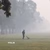 Ô nhiễm không khí nghiêm trọng tại New Delhi, Ấn Độ. (Ảnh: ANI/TTXVN)