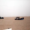Huy động tàu cá tổ chức tìm kiếm các nạn nhân mất tích trên hai tàu cá bị chìm. (Ảnh: Tá Chuyên/TTXVN)