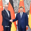 Chủ tịch Trung Quốc Tập Cận Bình (phải) và Thủ tướng Đức Friedrich Merz tại cuộc gặp ở Bắc Kinh ngày 25/2/2026. (Ảnh: THX/TTXVN)