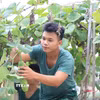 6