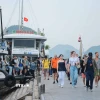 Quảng Ninh đón lượng lớn du khách tham quan, tìm hiểu vẻ đẹp tự nhiên của Vịnh Hạ Long. (Ảnh: Hoàng Hiếu/TTXVN)