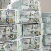 Kiểm đồng USD. (Ảnh: TTXVN)