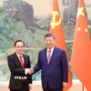 Bộ trưởng Bộ Ngoại giao Lê Hoài Trung, Đặc phái viên của Tổng Bí thư Tô Lâm và Tổng Bí thư, Chủ tịch Trung Quốc Tập Cận Bình. (Ảnh: Công Tuyên/TTXVN)