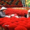 Sản xuất hương truyền thống ở Quảng Phú Cầu. (Ảnh: Thành Phương/TTXVN)