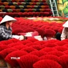 Sản xuất hương truyền thống ở Quảng Phú Cầu. (Ảnh: Thành Phương/TTXVN)