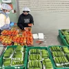 Công nhân tại một cơ sở cung ứng rau củ tại xã Đức Trọng (Lâm Đồng) sơ chế, đóng gói rau trước khi đưa ra thị trường tiêu thụ. (Ảnh: Nguyễn Dũng/TTXVN)