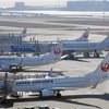 Máy bay của hãng hàng không Japan Airlines tại sân bay Haneda ở thủ đô Tokyo, Nhật Bản. (Ảnh: Kyodo/TTXVN)