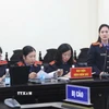 Đại diện Viện Kiểm sát khẳng định "Hàm lượng trong sữa giả vượt quá mức công bố không đồng nghĩa với tốt hơn”. (Ảnh: Kim Anh/TTXVN)