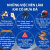 Những việc nên và không nên làm khi xảy ra mưa đá