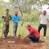 Đại diện Hợp tác xã Ca cao Bù Gia Mập hướng dẫn người dân trồng cacao xen dưới tán cây điều. (Ảnh: K GỬIH/TTXVN)