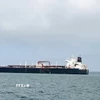 Tàu di chuyển qua eo biển Hormuz. (Ảnh: ANI/TTXVN)