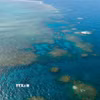 Rạn san hô Great Barrier tại Queensland, Australia. (Ảnh: THX/TTXVN)