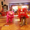 Múa lân, nét văn hóa đặc sắc trong dịp Tết cổ truyền của Việt Nam. (Ảnh: Xuân Tú/TTXVN)
